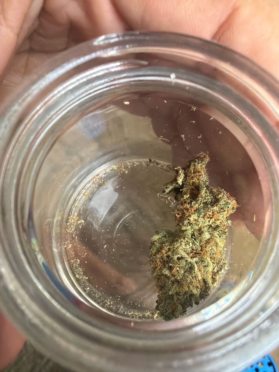 Snowtill: Grape Jack