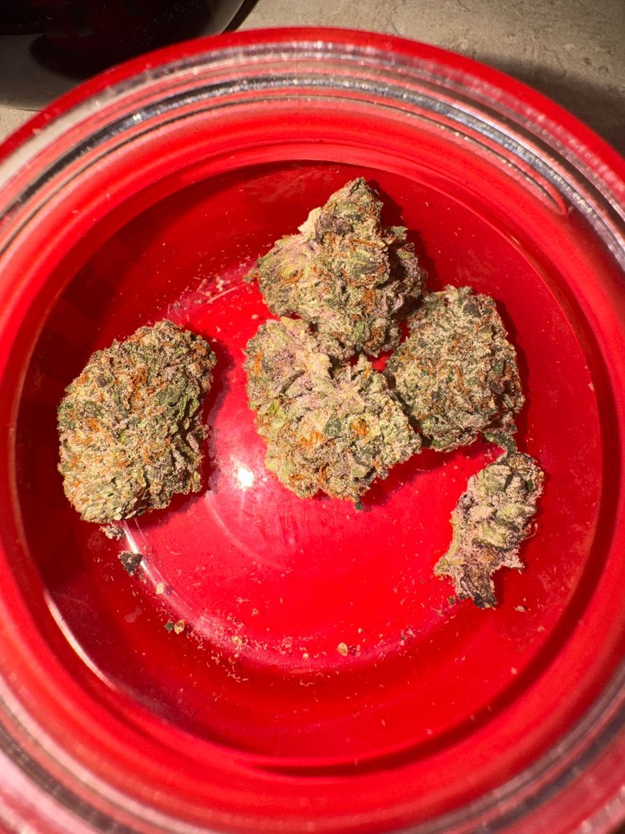 Ideal Cannabis Beach Barbie
