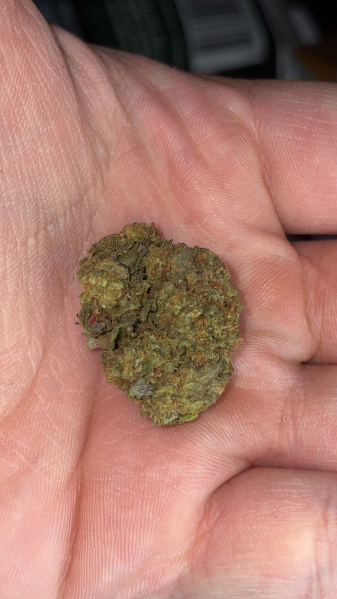 Compton Og strain