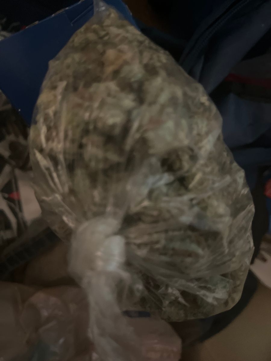 Teramendo strain