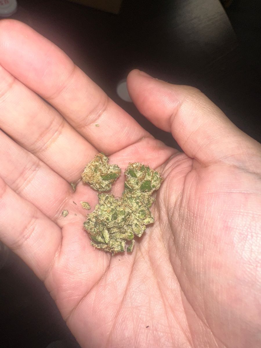 Up North Grand Daddy Purple