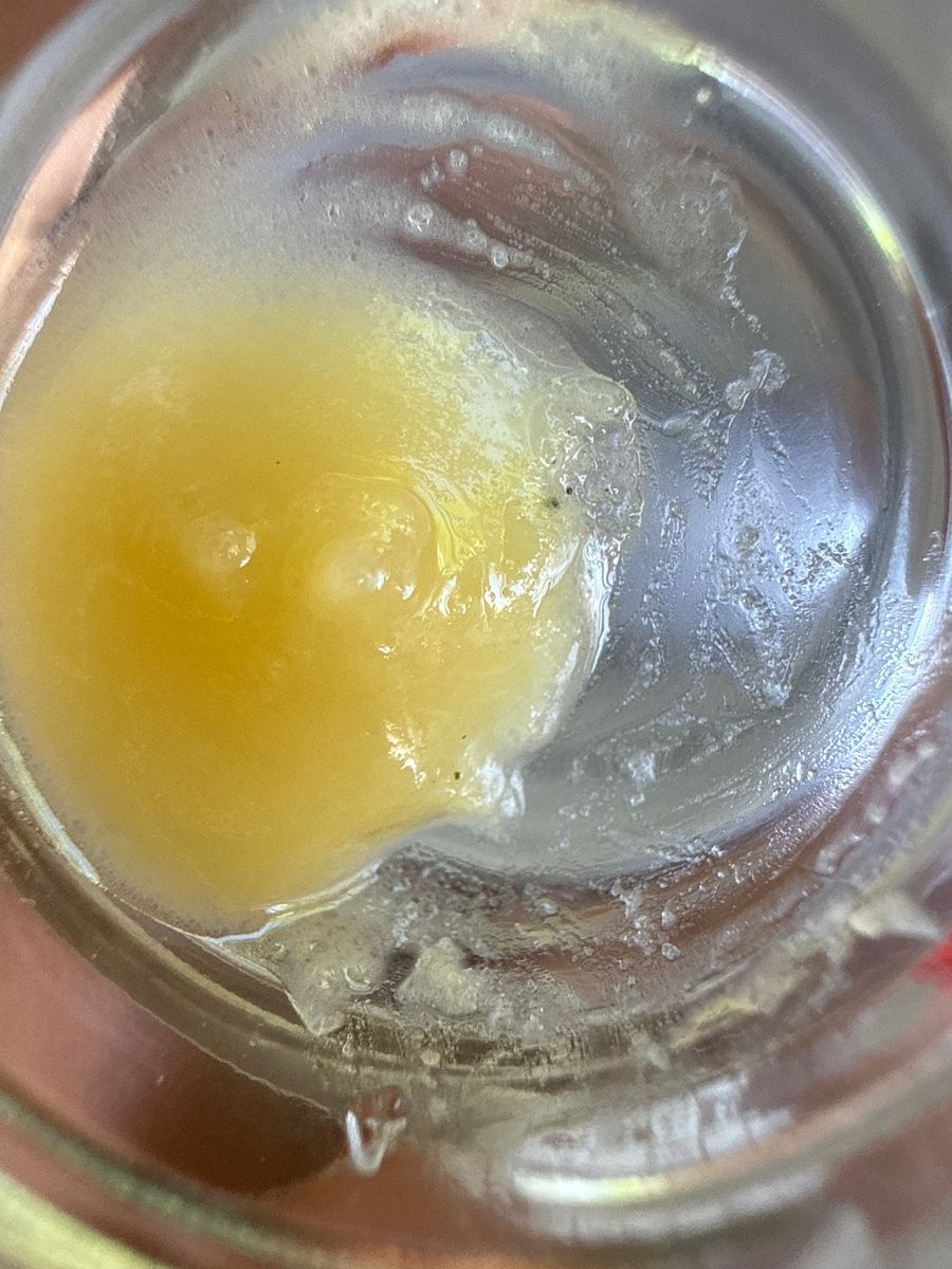 Sour Amnesia strain