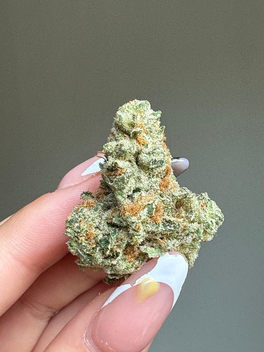 Marmalade strain