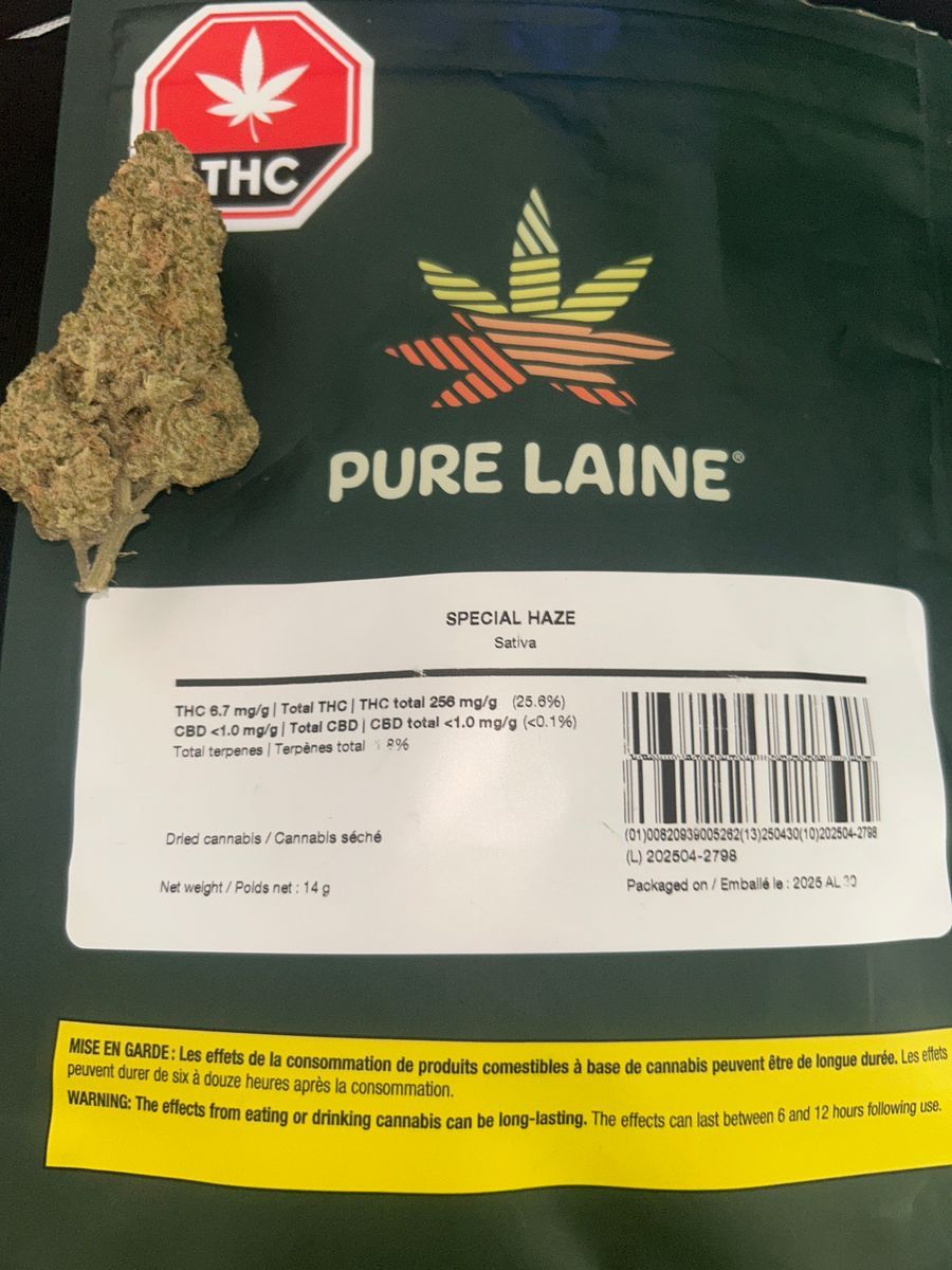 Special Haze strain