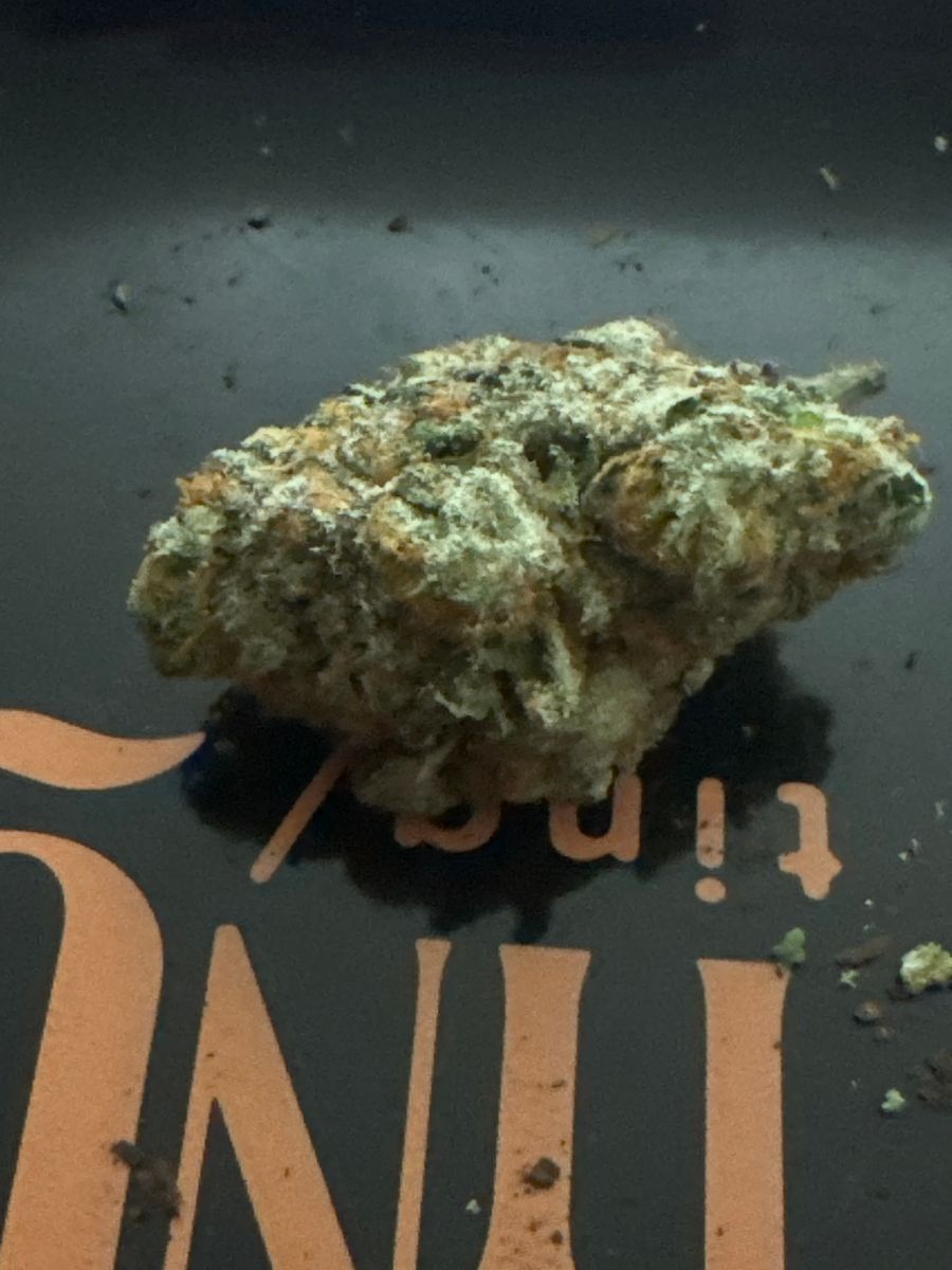 No Name strain