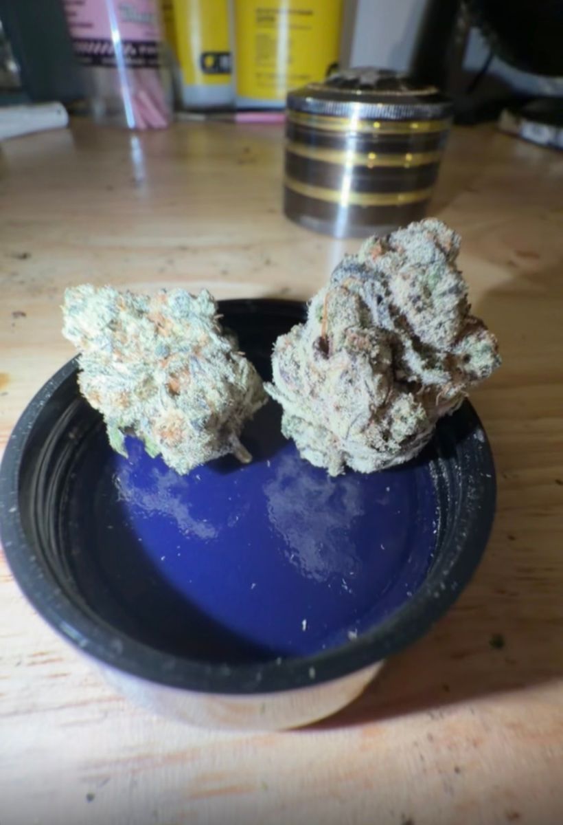 Mars Bars strain