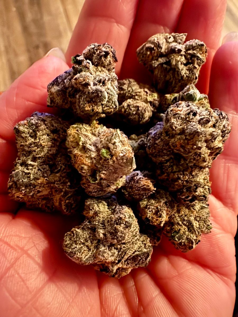 Scottys Mom strain