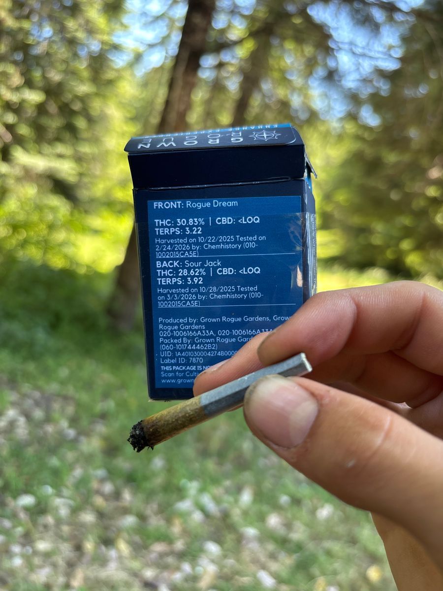 Rogue Dream strain