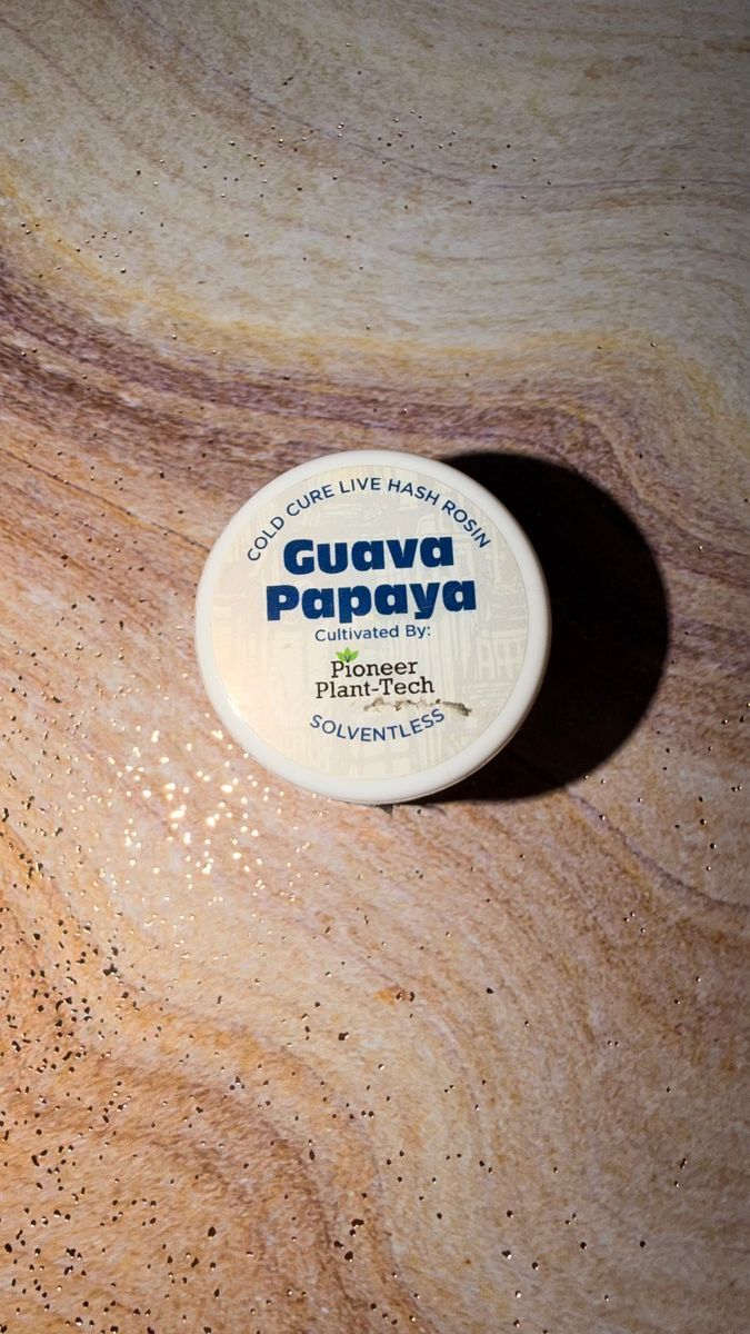 Guava Papaya strain