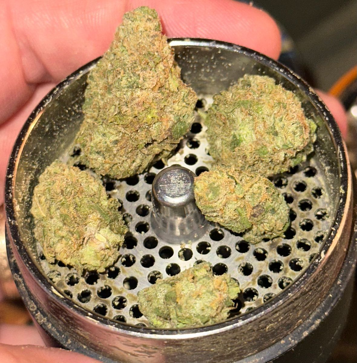 Dallas Growers Club: Grape Durban