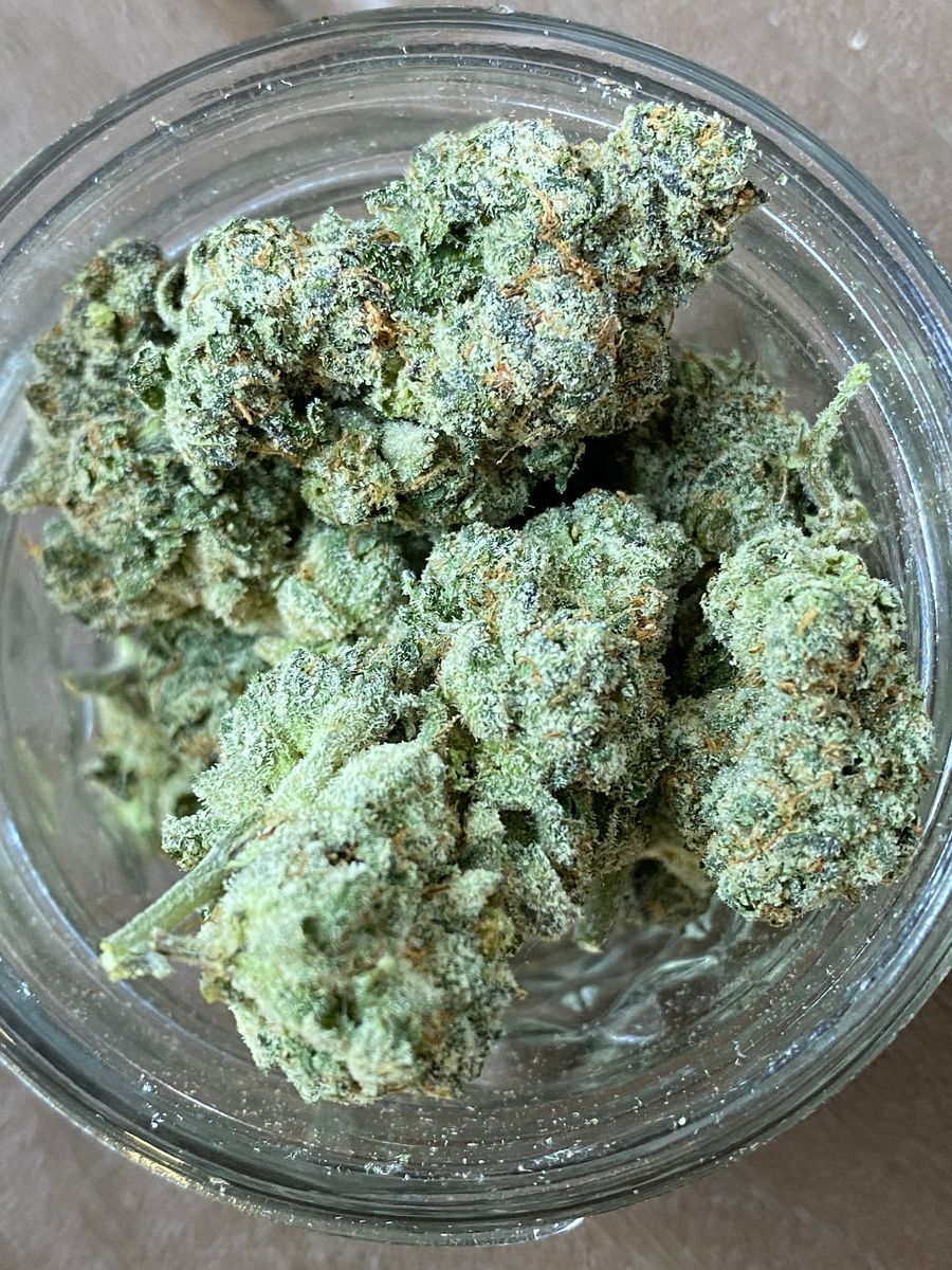 West Coast Cure Gelato Mintz