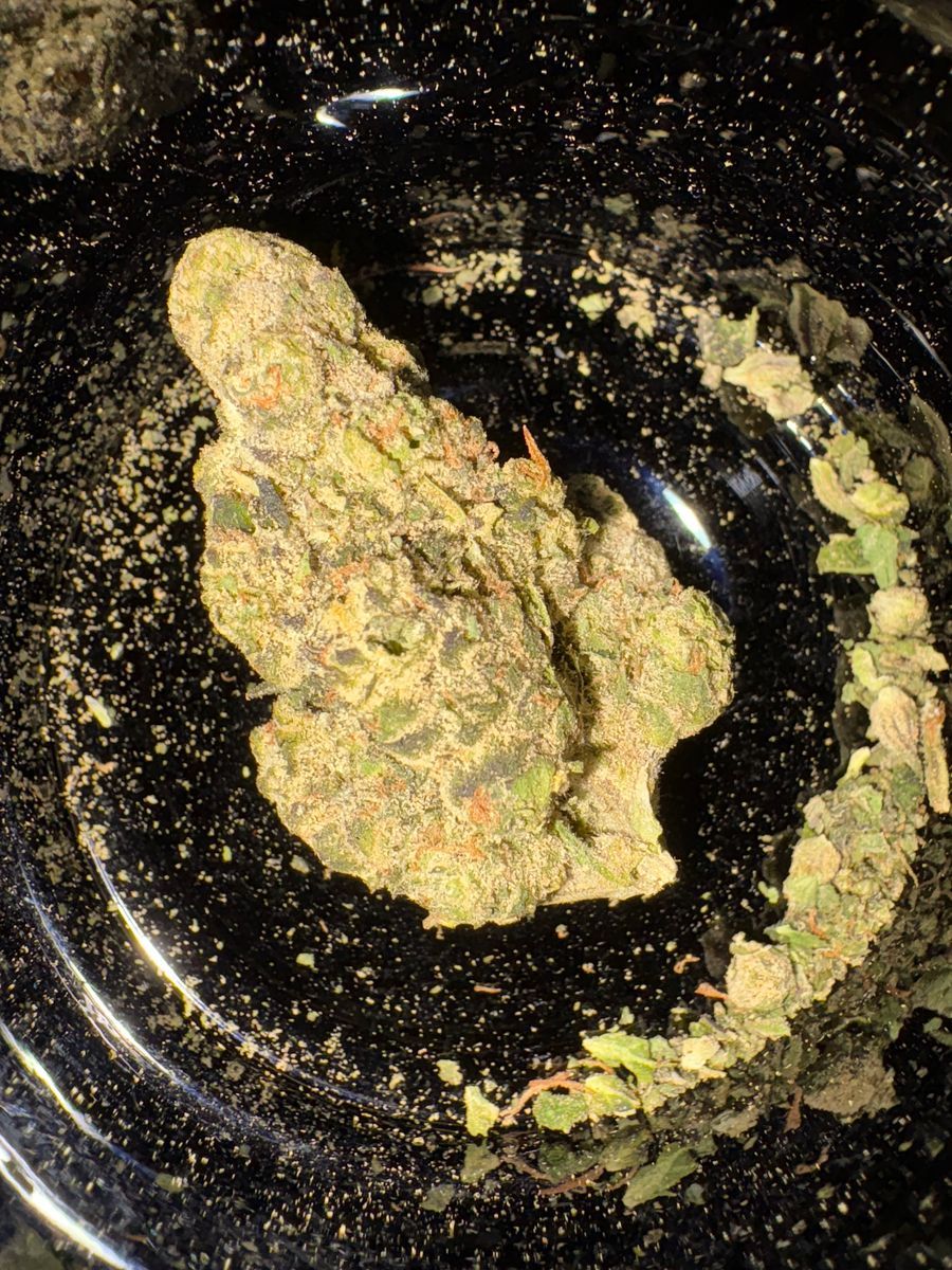 White Grape Runtz strain