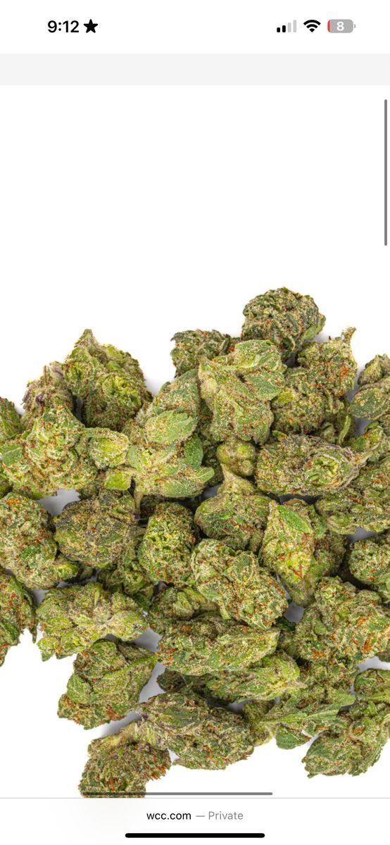 West Coast Cure: Gelato Mintz