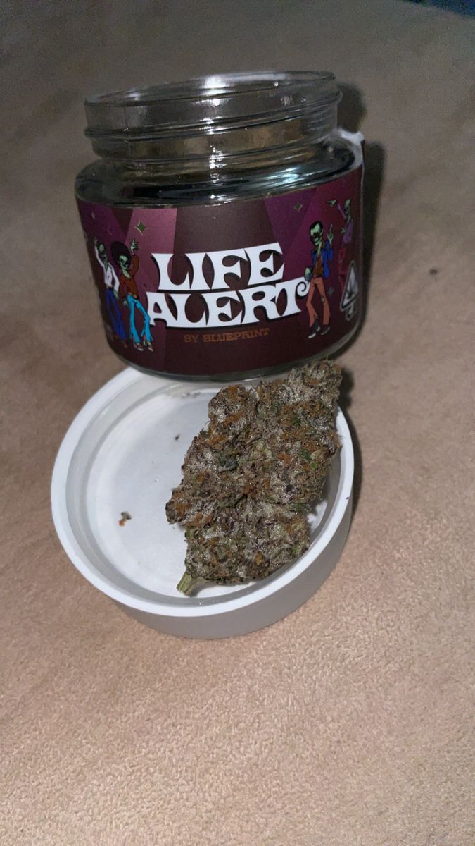 Life Alert strain