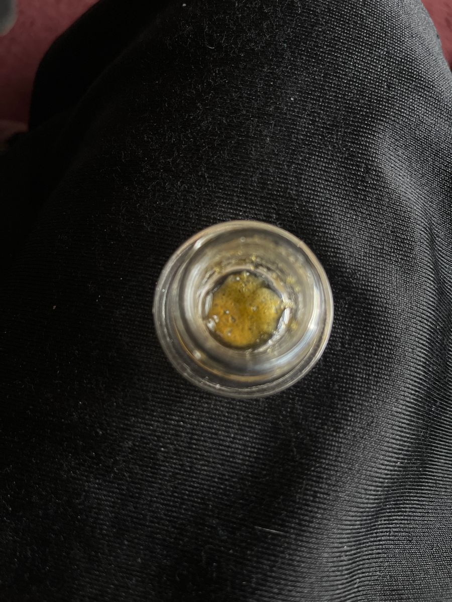 Ursa Extracts Gelato