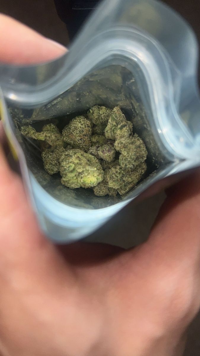 Pop Tart Monster strain