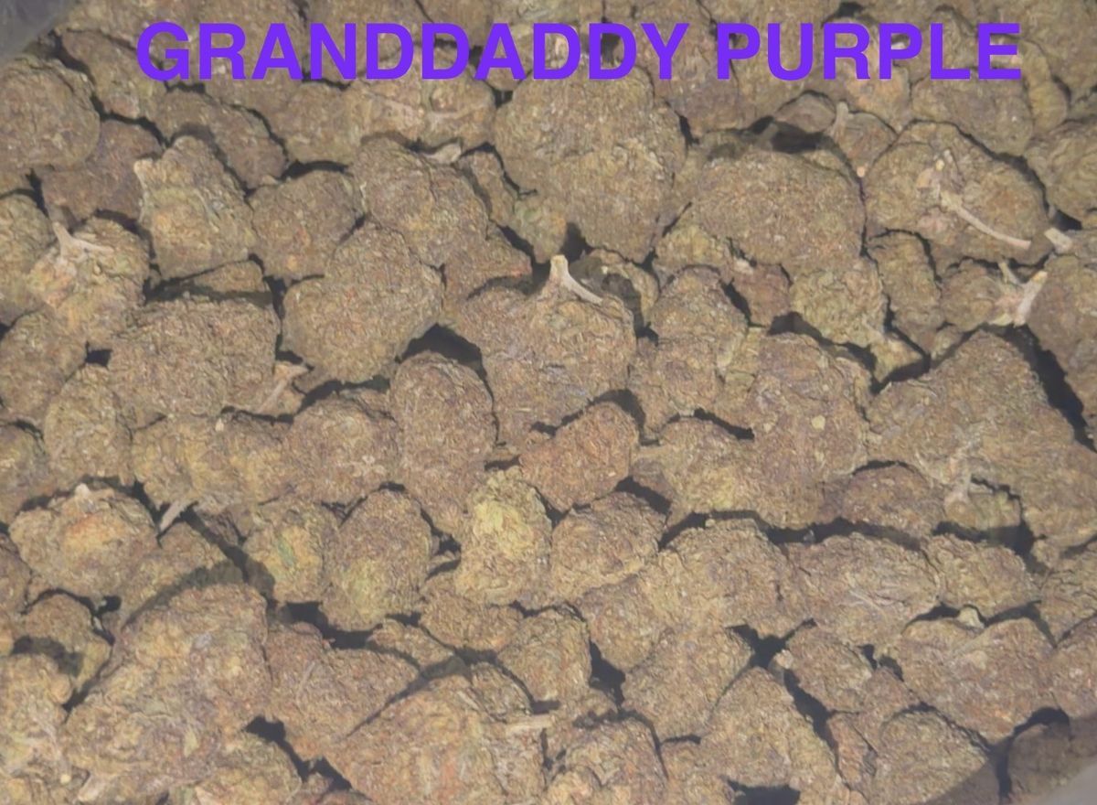 Leafy Grand Daddy Purple