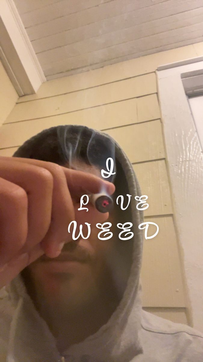 Dounut Rolls Jack Herer