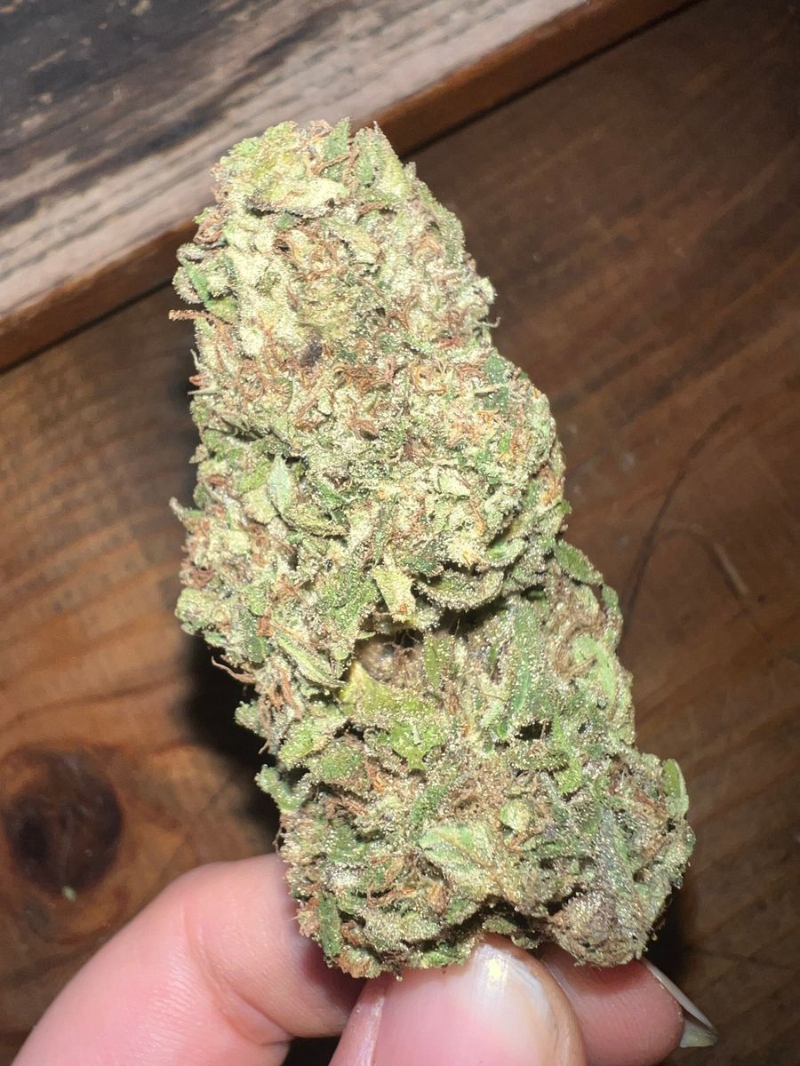 Goat’s Breath strain