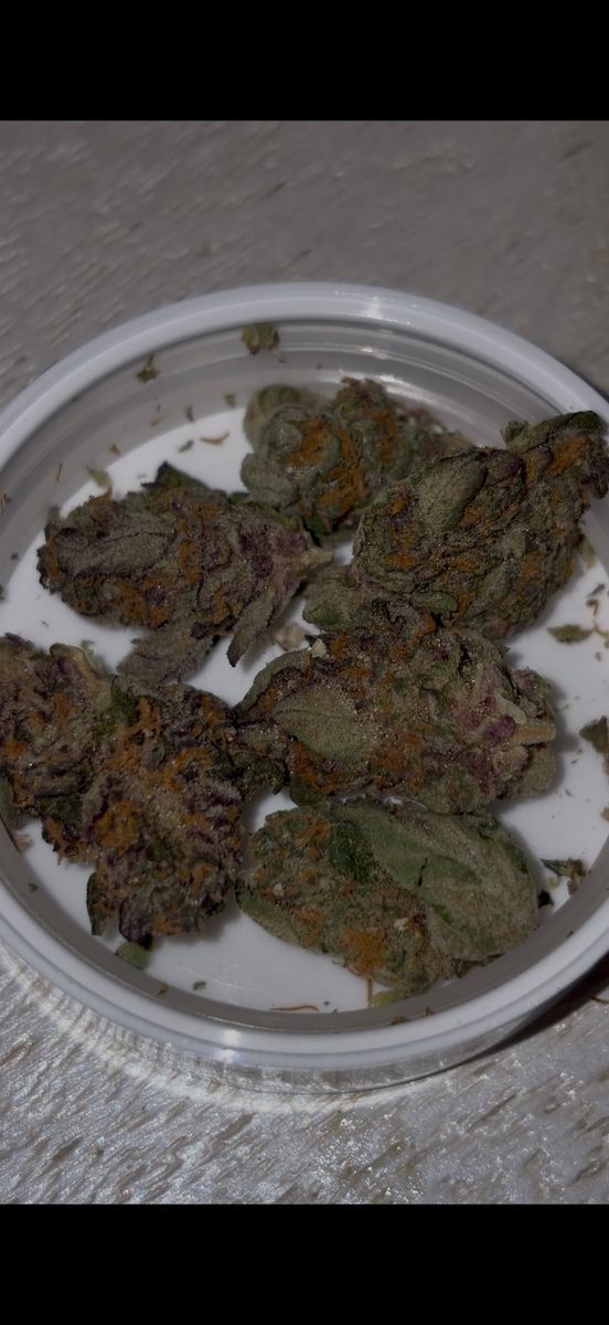 Boof Bomb strain