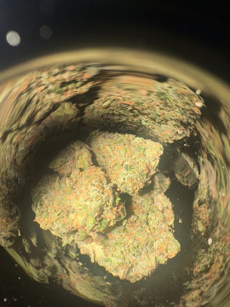 Lit Og strain