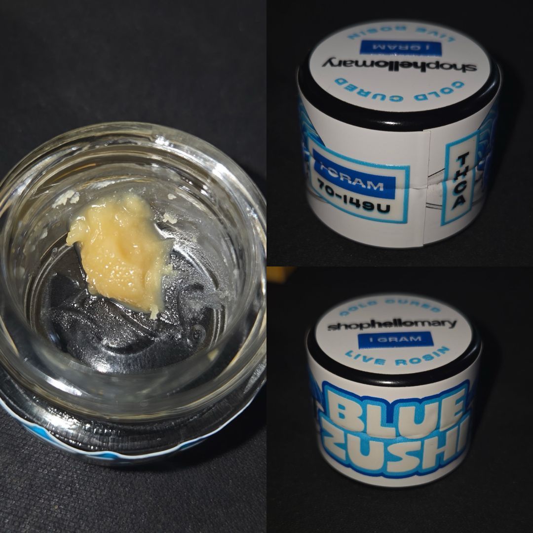 Shophellomary: Blue Zushi