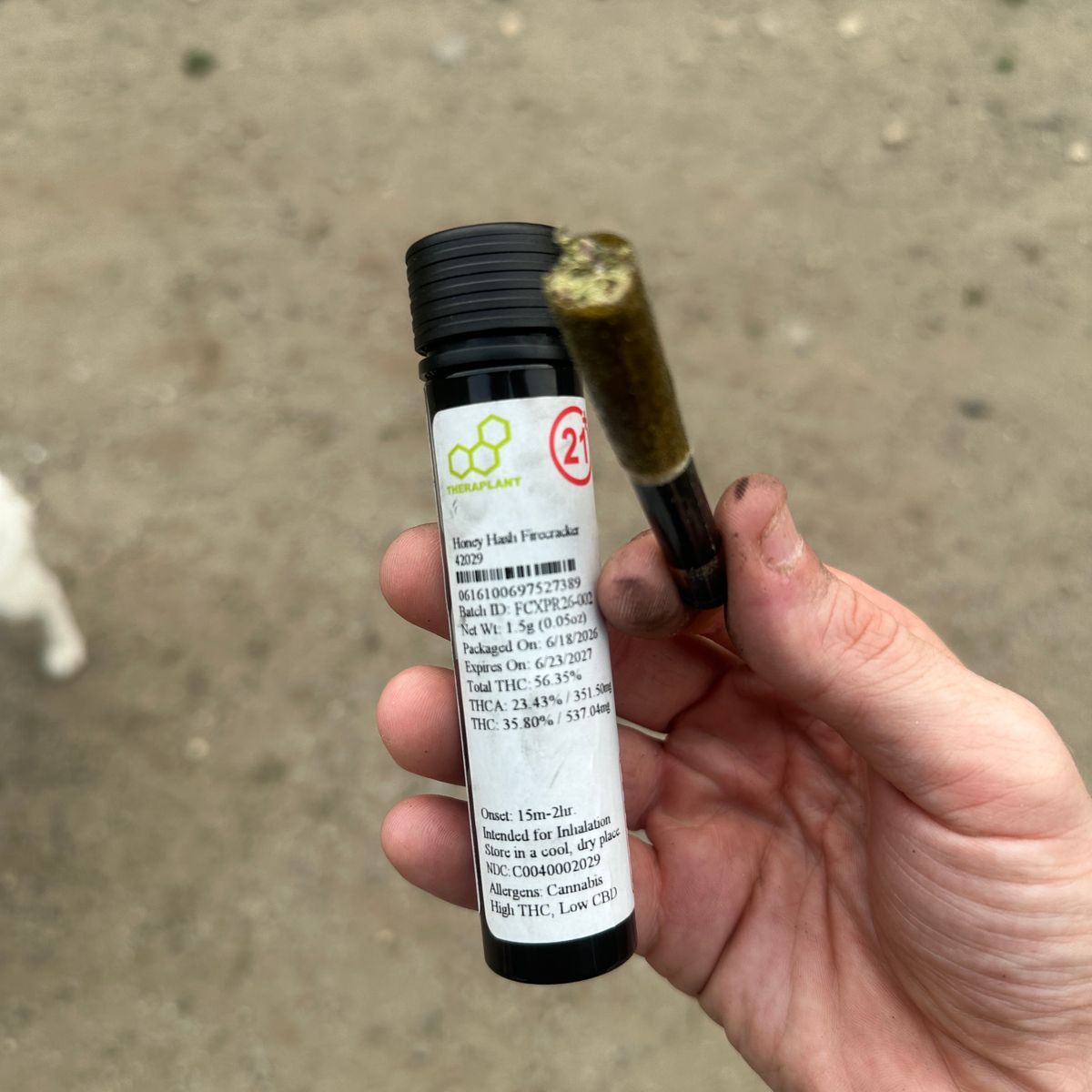Theraplant: Honey Hash Fire Cracker