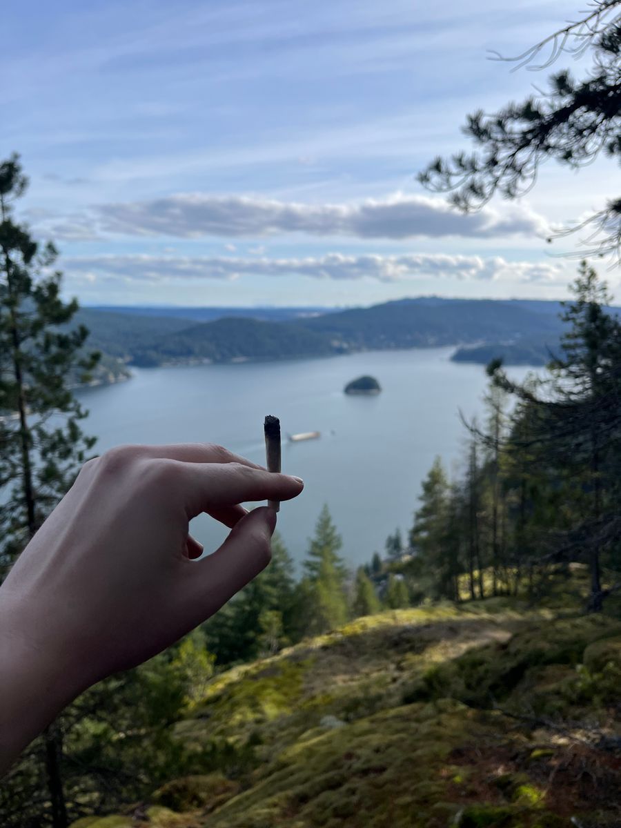 Sacré Bleu strain