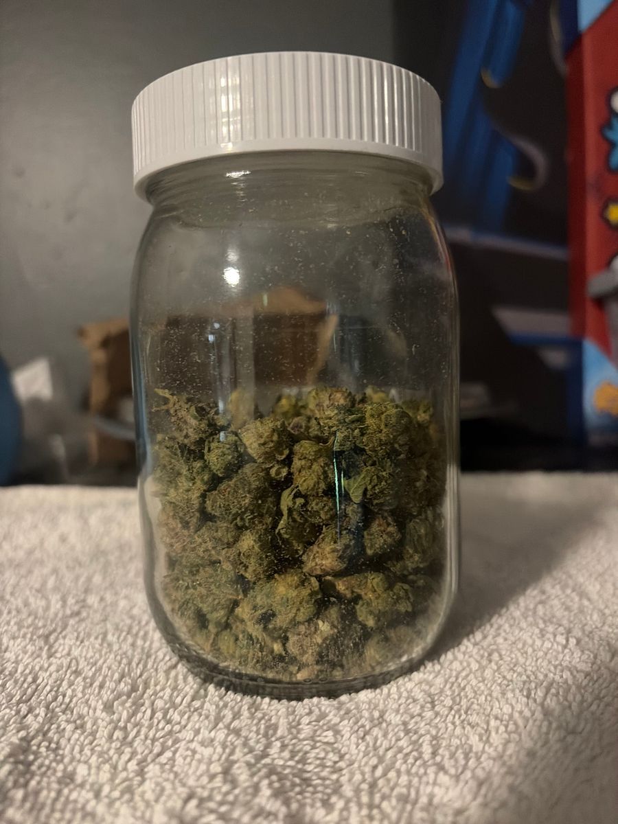 Chocolate Chai strain