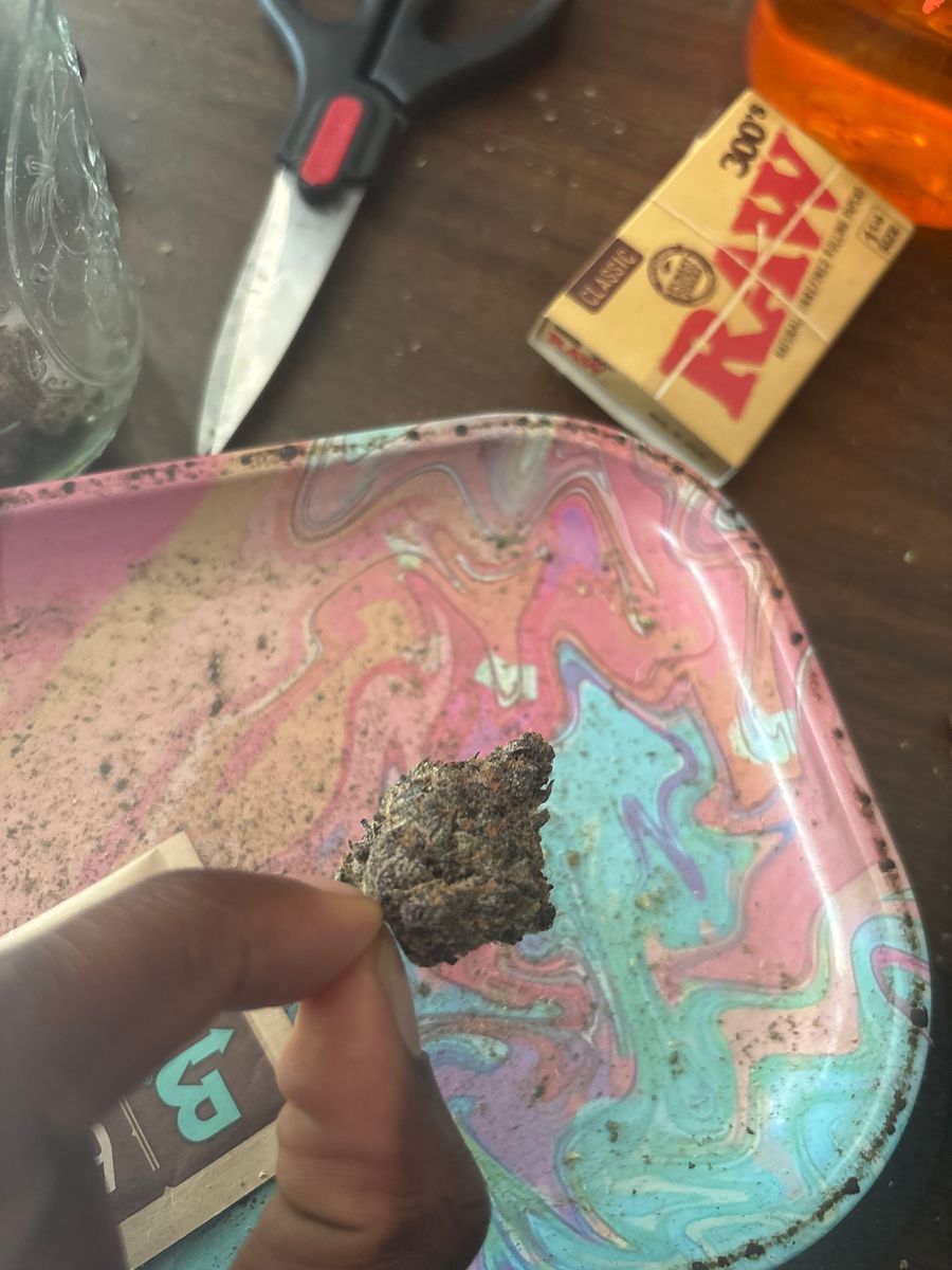 Sin N Juice strain