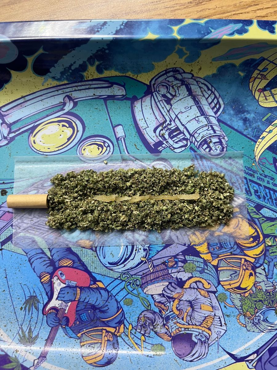 Homemade Dark Horse X Flying Dutchman