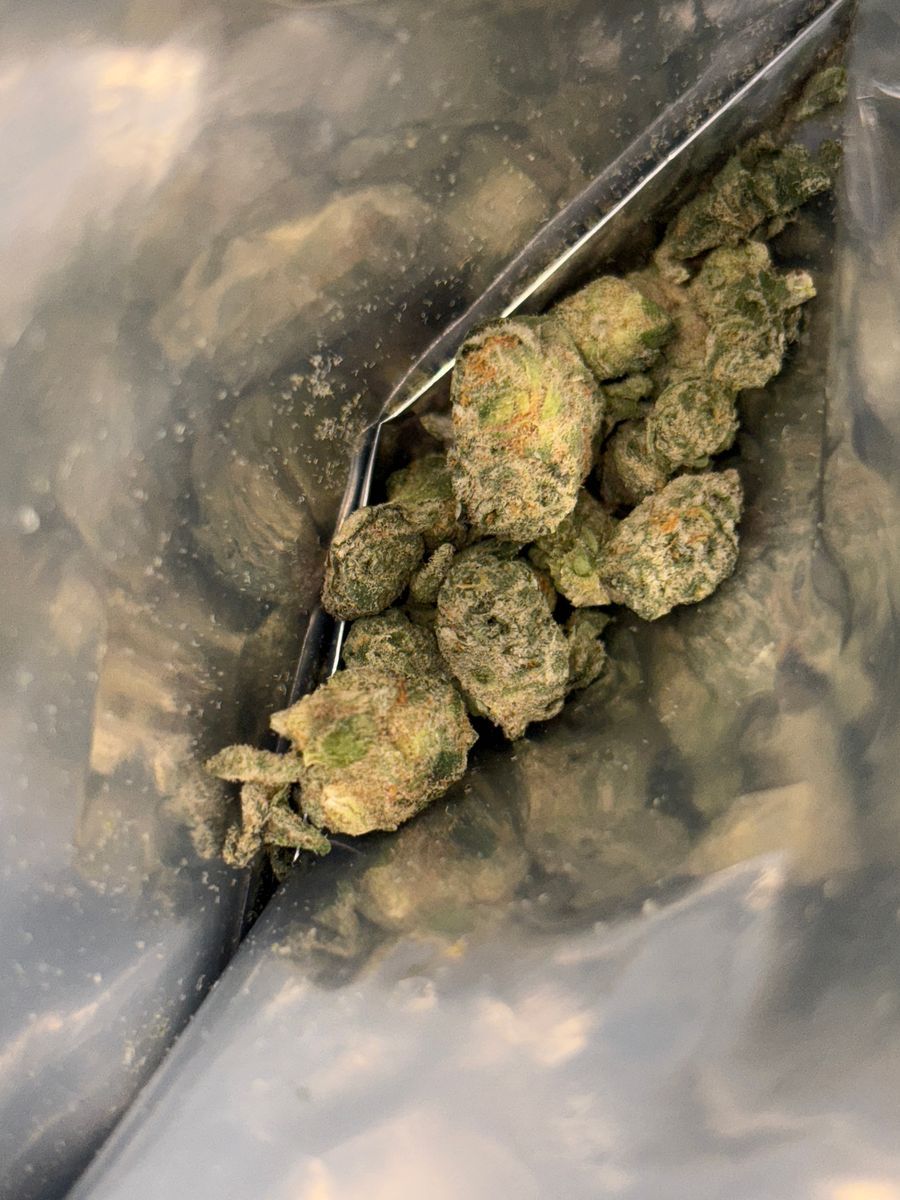 Flan Sherbert strain