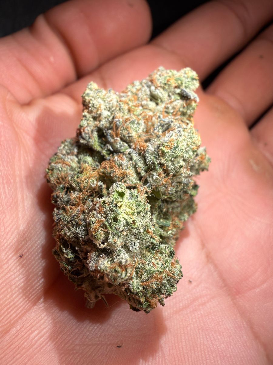 Euca Z strain