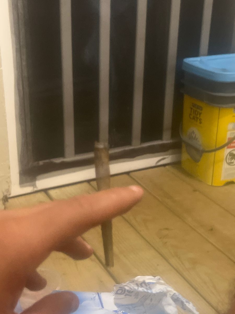 Stuffy’s Cookies N Cream
