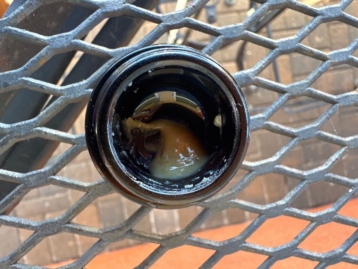 Cheesequake strain