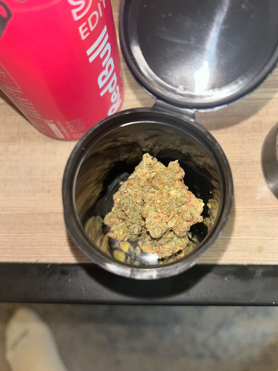 Pruf Cultivation: Jack Herer
