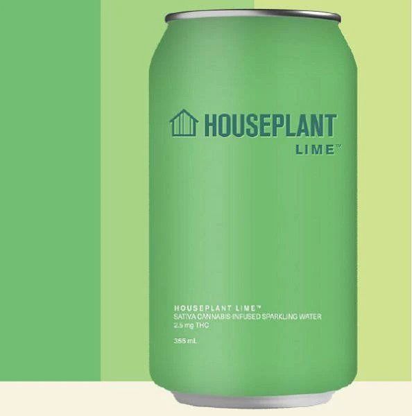 Houseplant Houseplant Lime