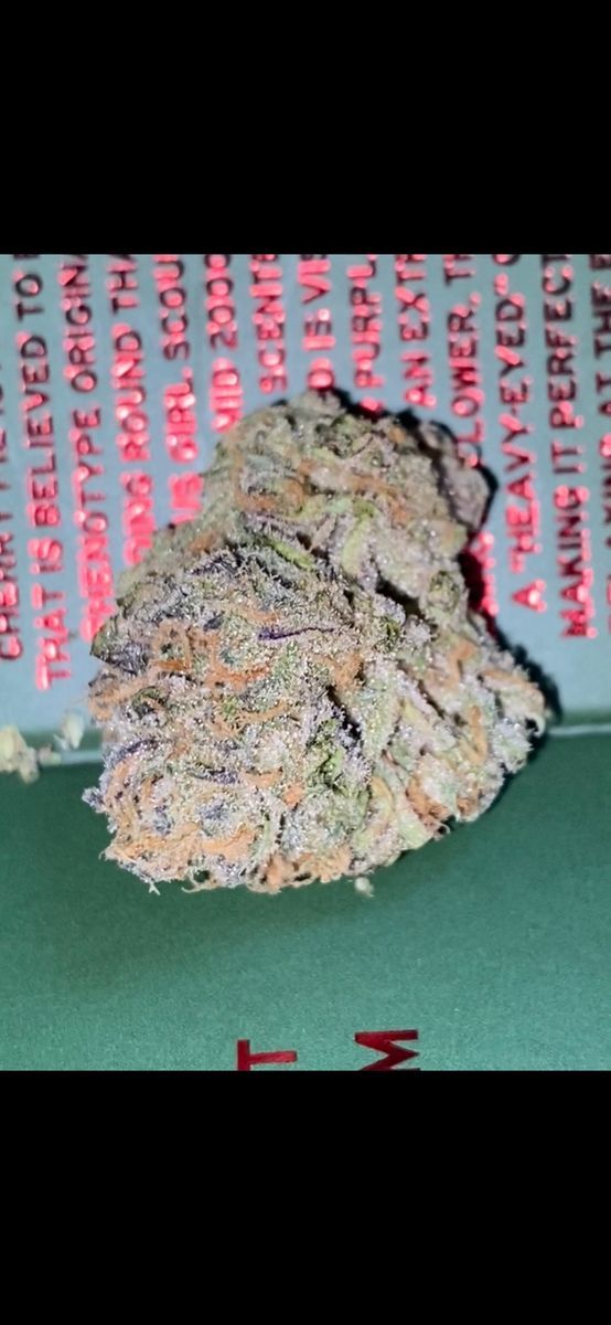 Heirbloom Cherry Pie