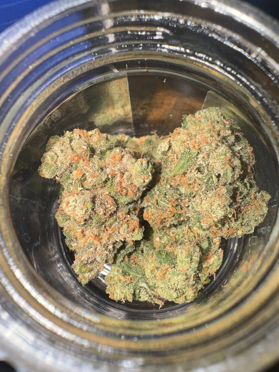 Cam Jack Herer