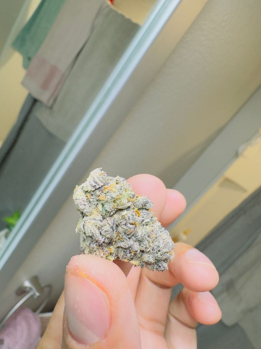 Gorilla Happy Hits Indica
