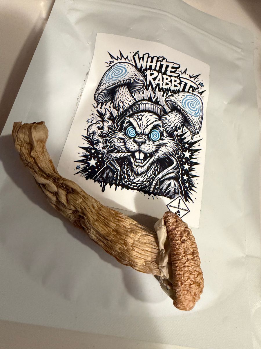 Soul Proprietor White Rabbit Shrooms