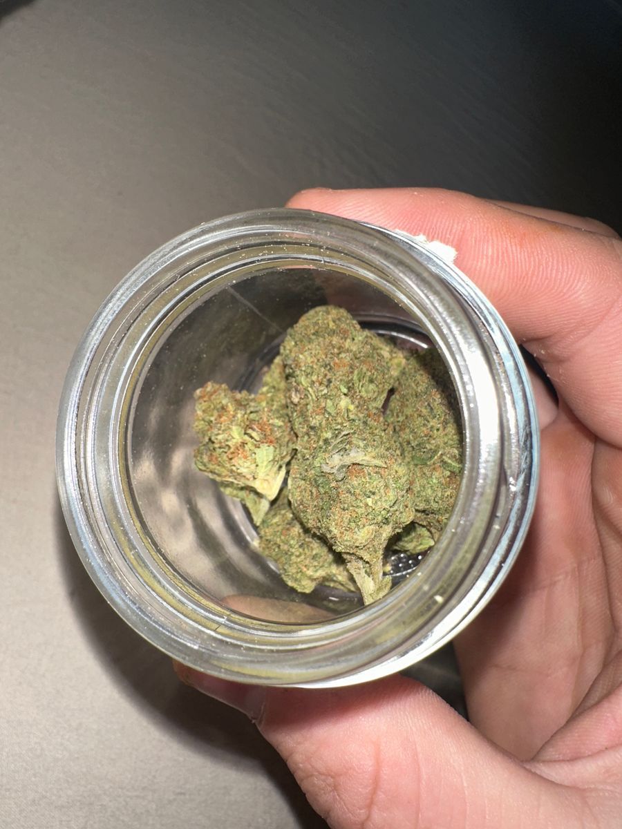 Blackwidow strain
