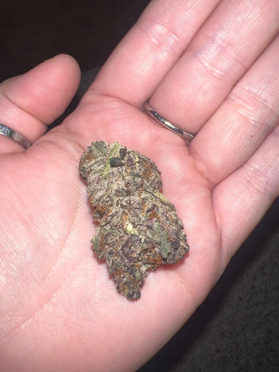 Breakfast Of Champions strain