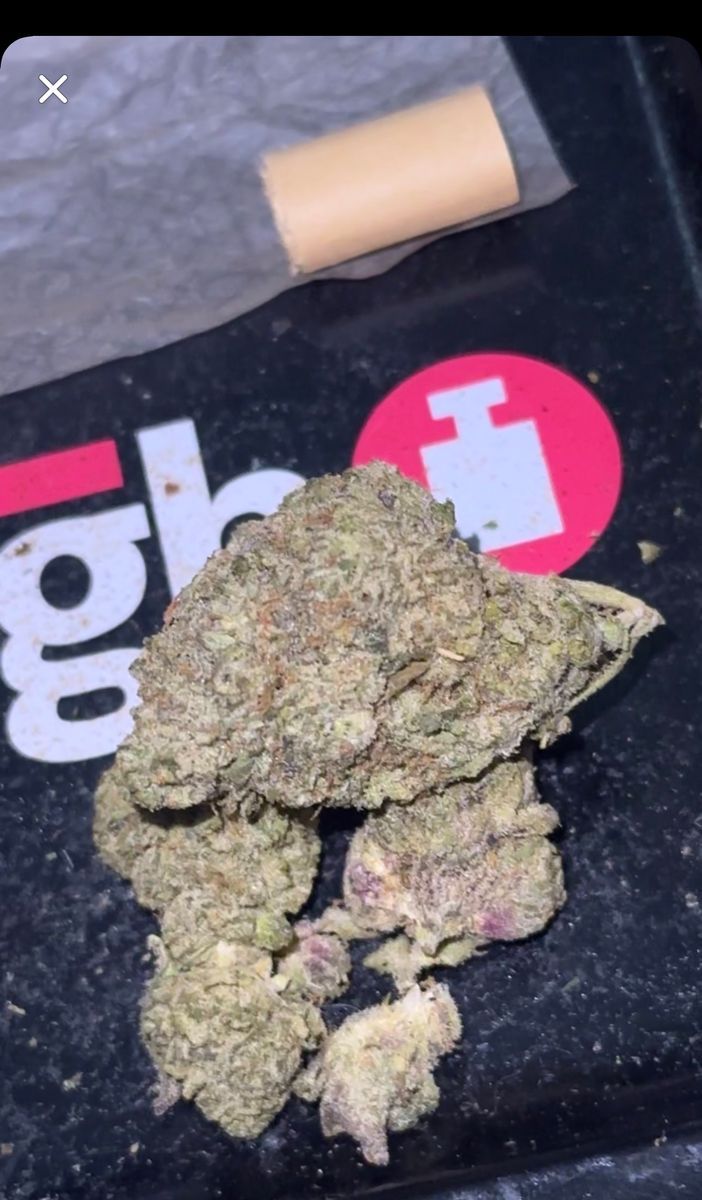 Maine Weed: Soda Pop
