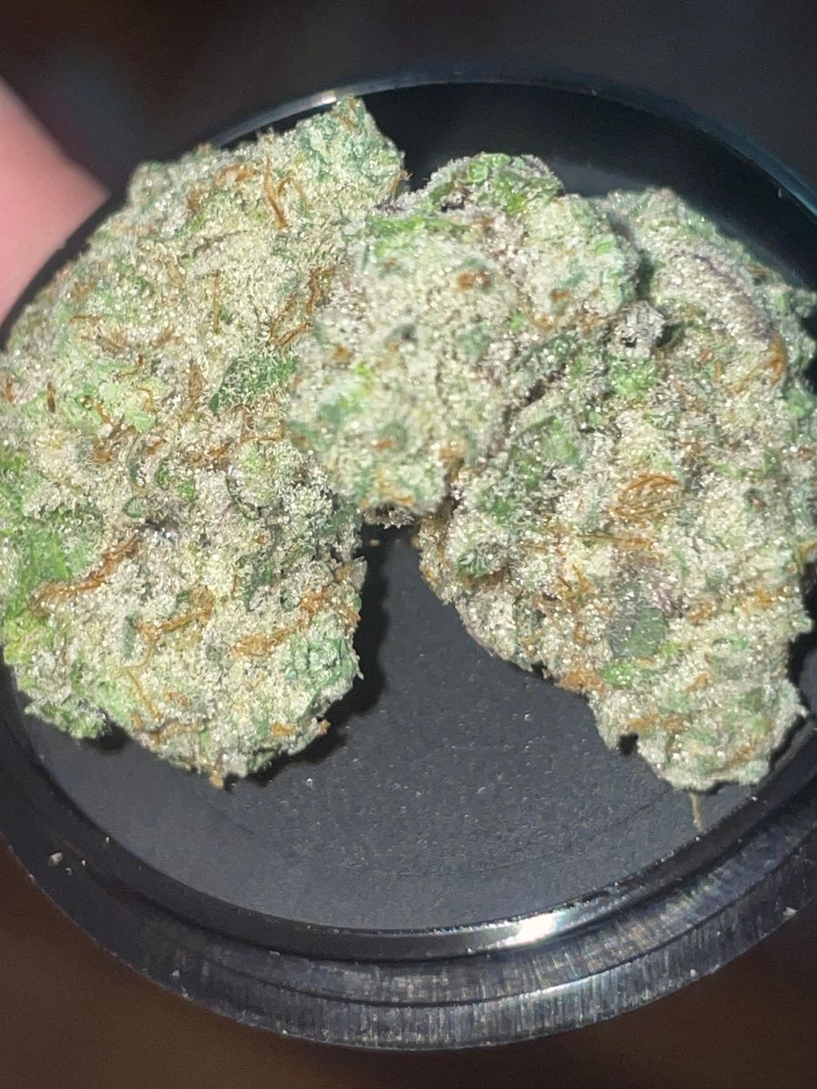 1889 Farms Sunset Mac