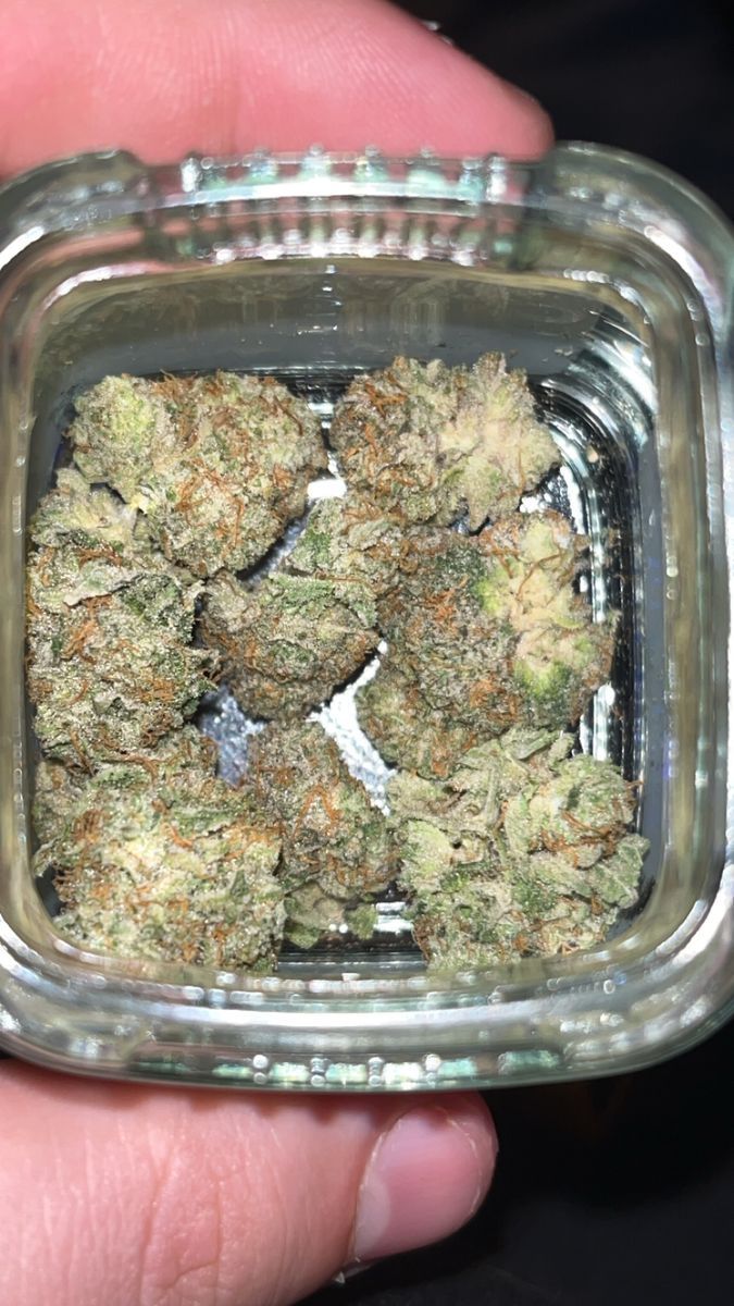 Blue Lobster strain