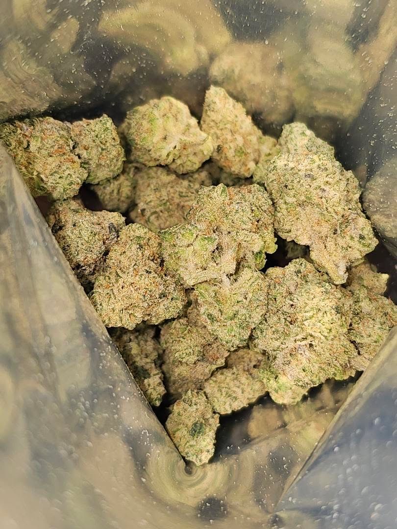 Alien Kush strain
