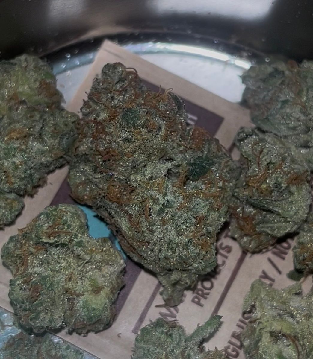 Don Carlos strain
