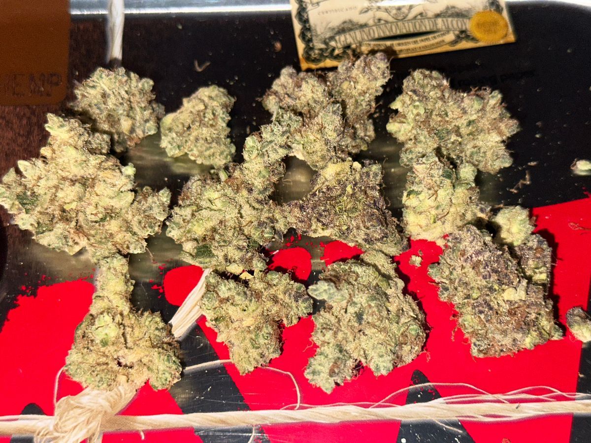 Miss Pink strain