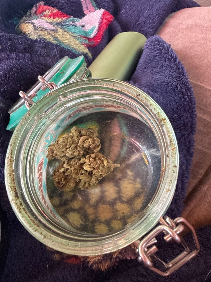The Weed Box Gorilla Glue Gg4